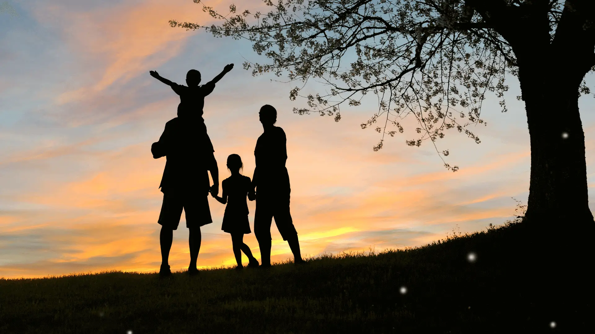 Intergenerational Continuity Plan - How FutureVault Protects Family Legacy